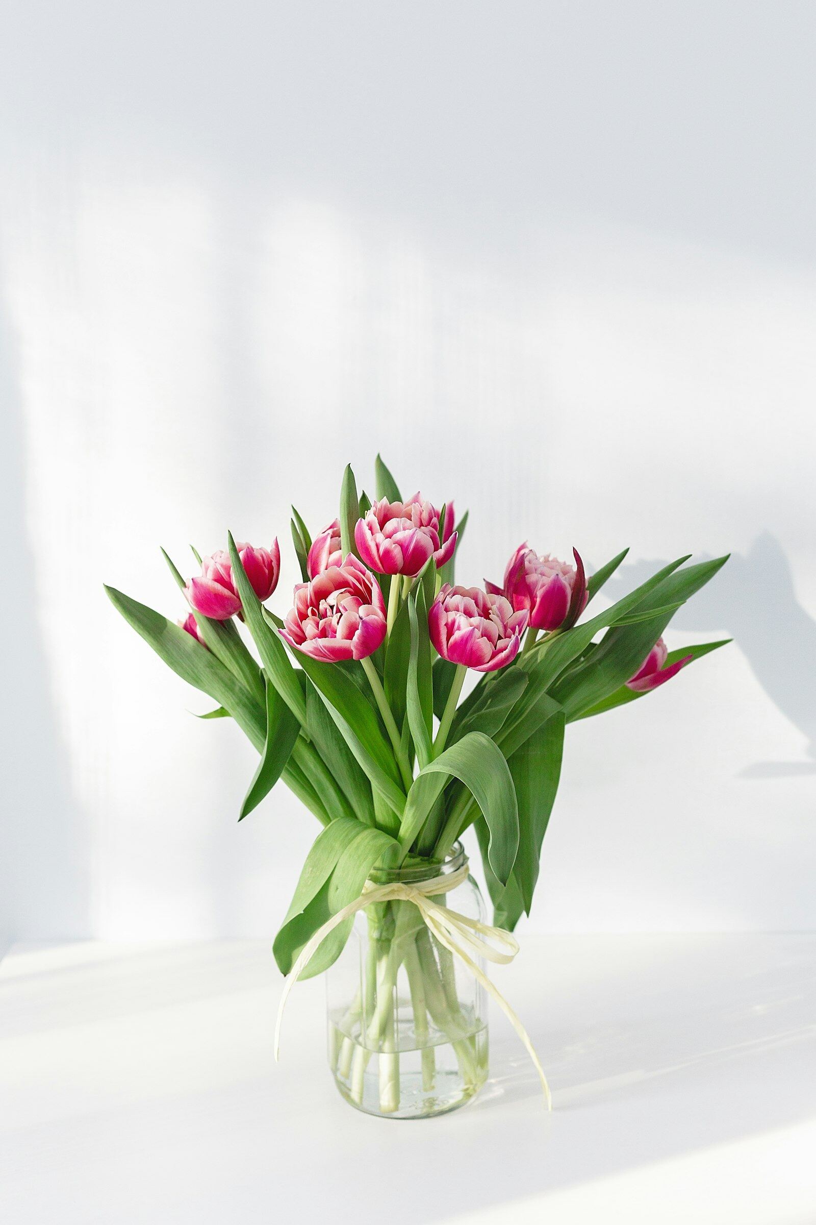 Bó tulip hồng trong bình