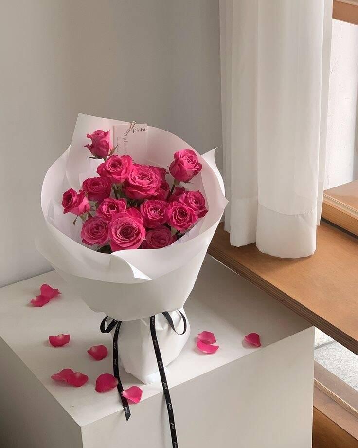 Bó Hồng Sen Plaisir