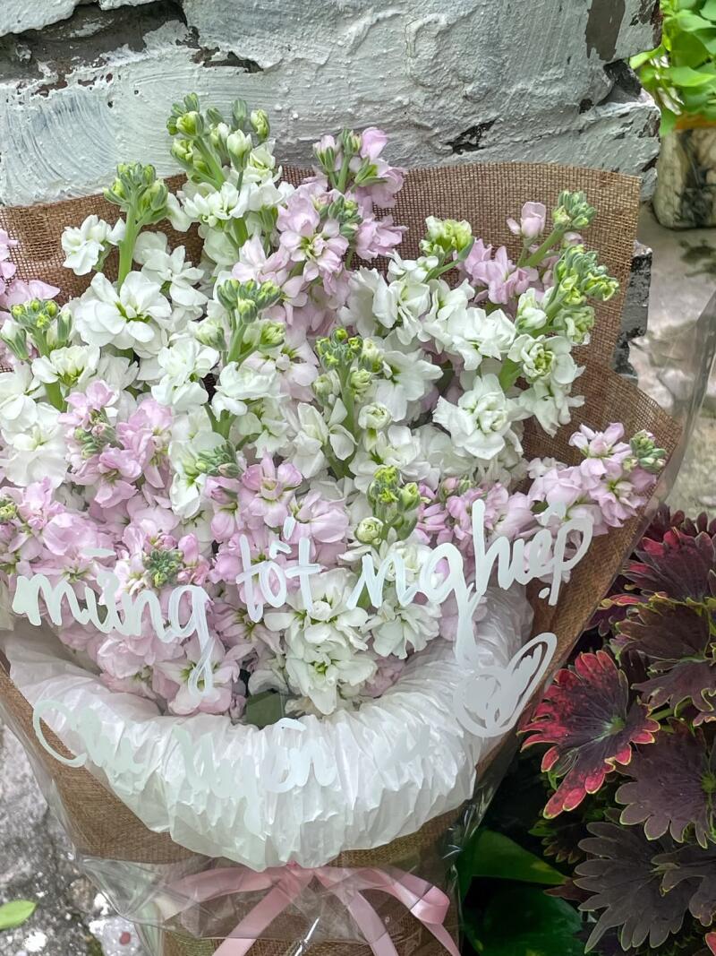 Bó Violet Hồng Trắng Chúc Mừng Tốt Nghiệp — ảnh 4