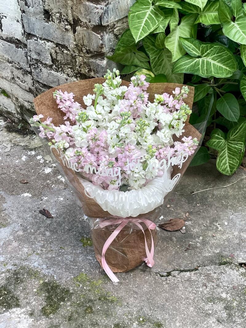 Bó Violet Hồng Trắng Chúc Mừng Tốt Nghiệp