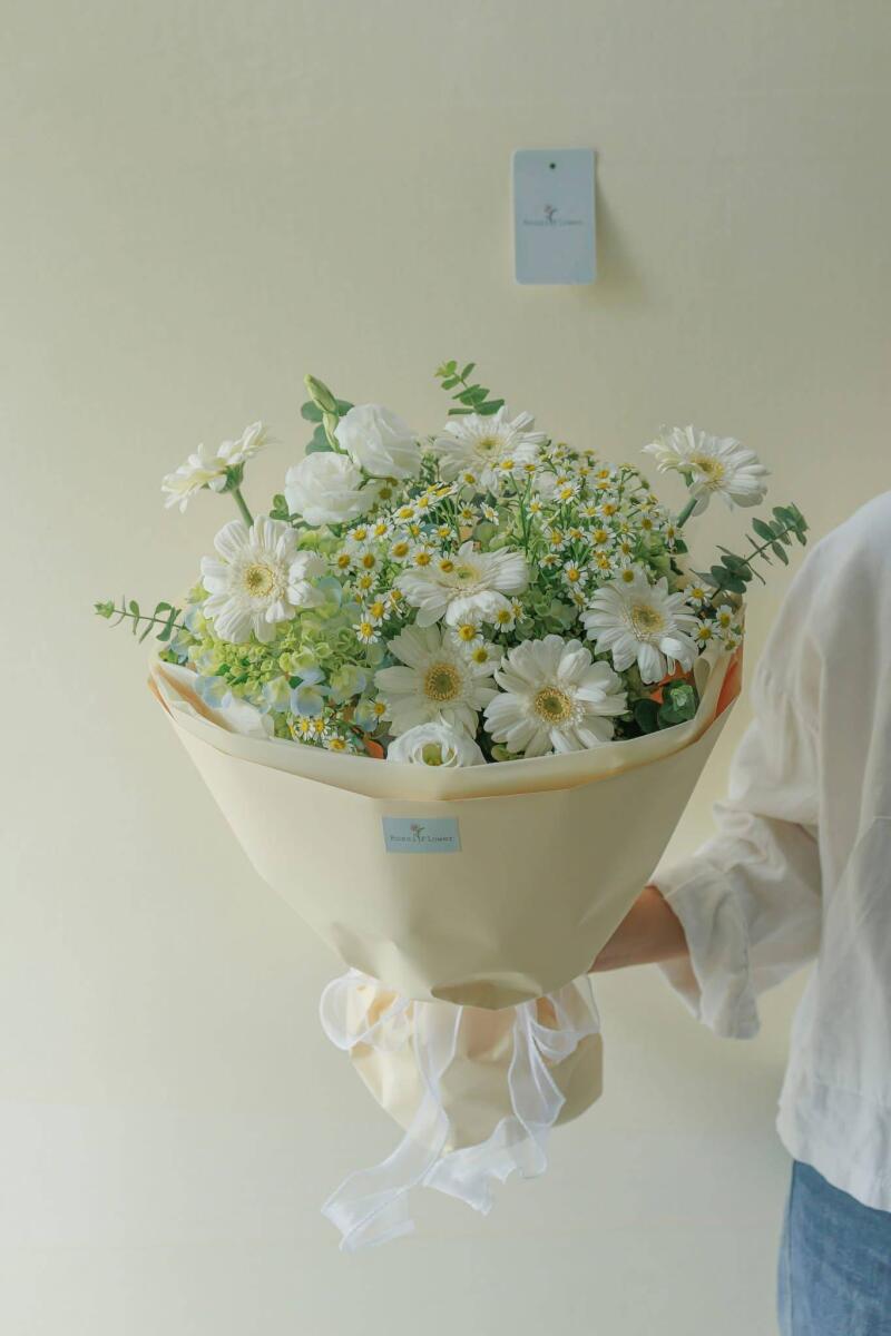 Bó Đồng Tiền Trắng Đồng Nội