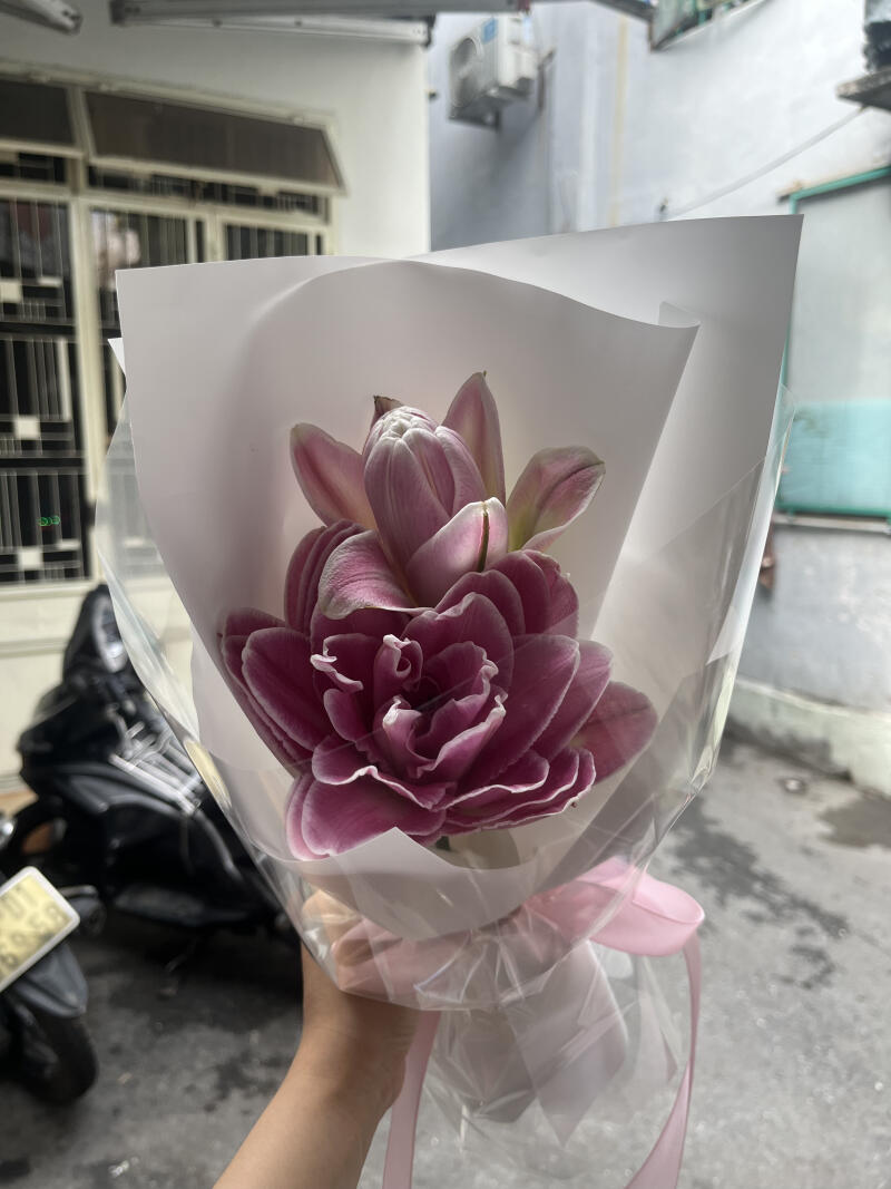 Bó Mini Ly Kép Tím Hồng — ảnh 3