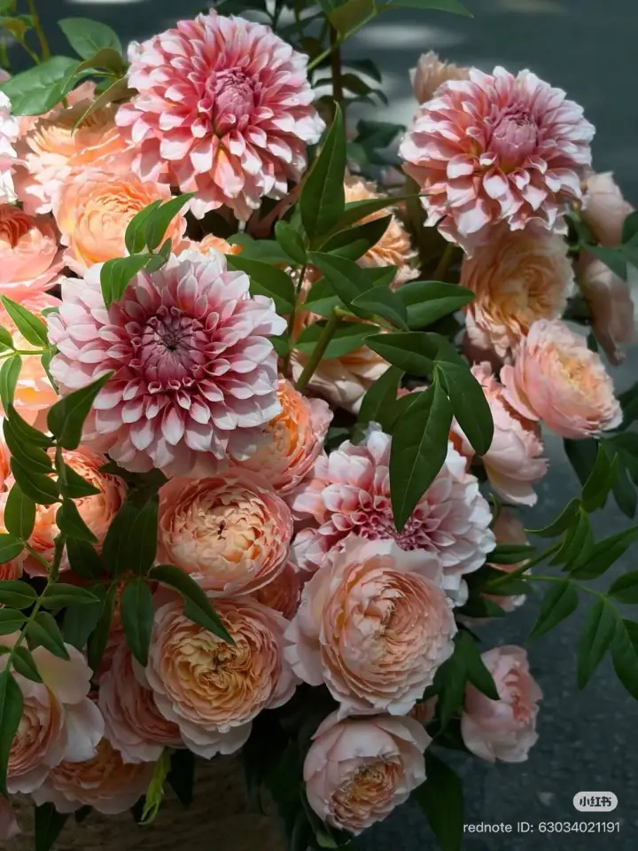 Peach Dahlia & Garden Rose Pot — photo 2