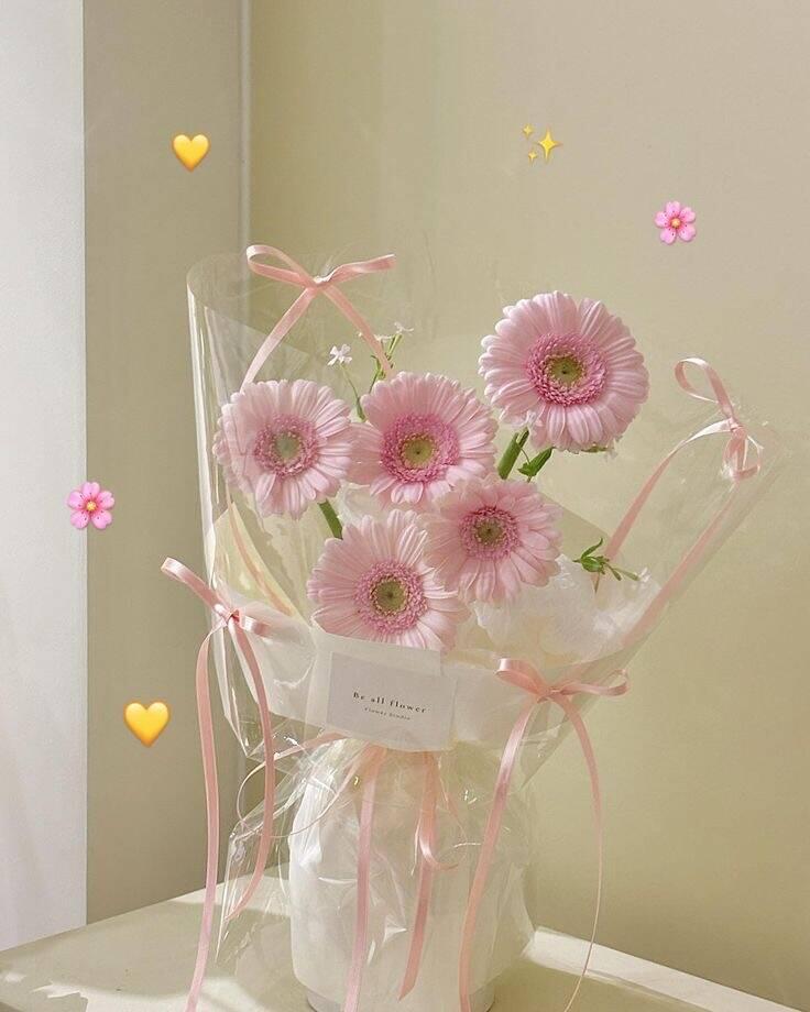 Bó Đồng Tiền Hồng Be All Flower