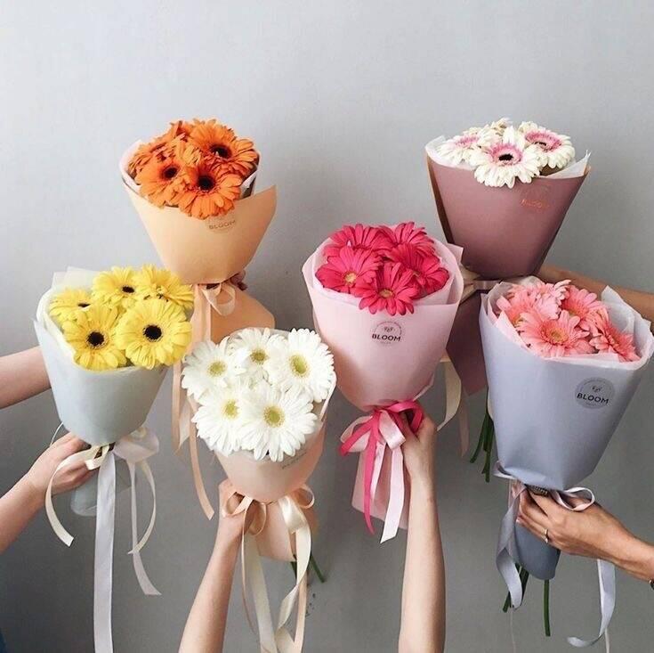 Bó Đồng Tiền Đơn Sắc Tự Chọn