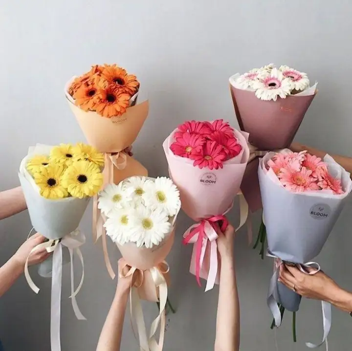 Single-Colour Gerbera Bouquet — Your Choice