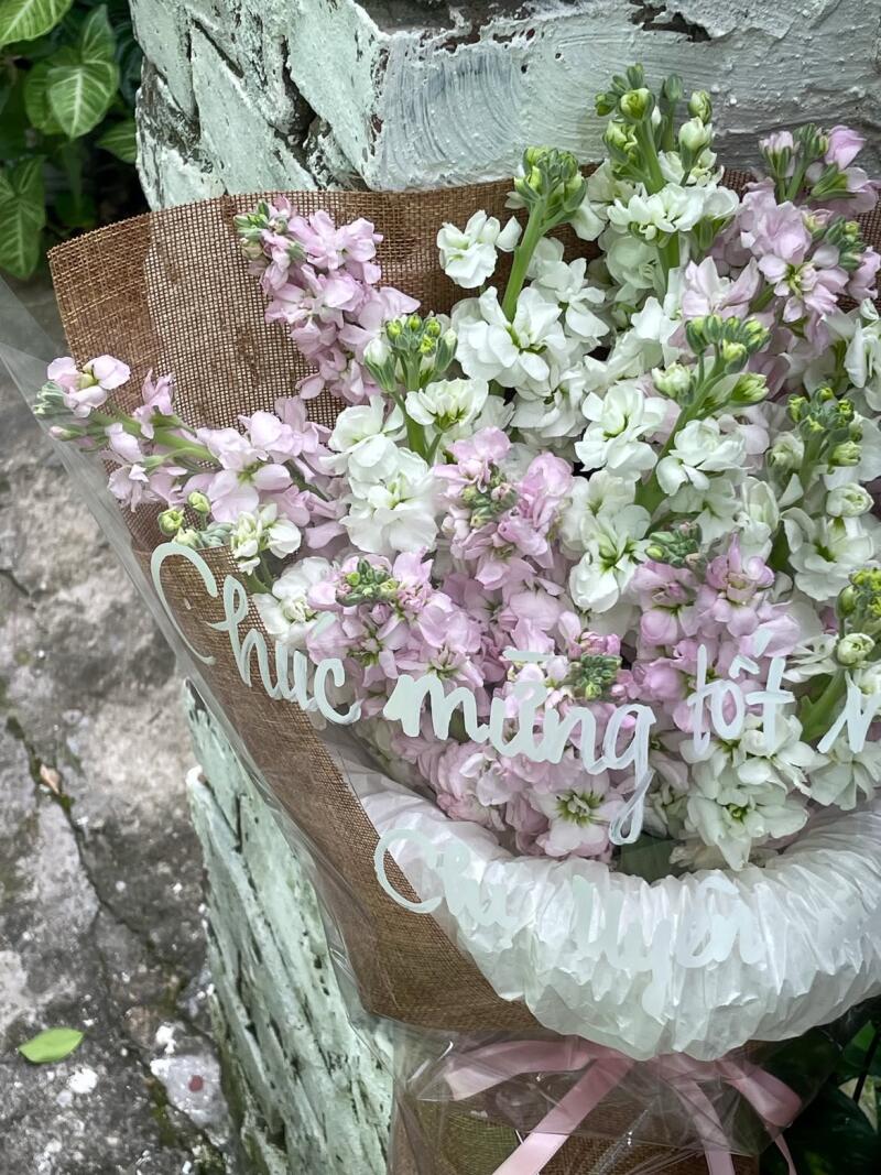 Bó Violet Hồng Trắng Chúc Mừng Tốt Nghiệp — ảnh 3
