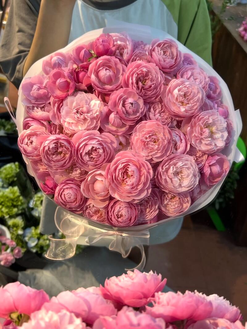 Bó Hồng Vườn Hồng Sen Cỡ Lớn