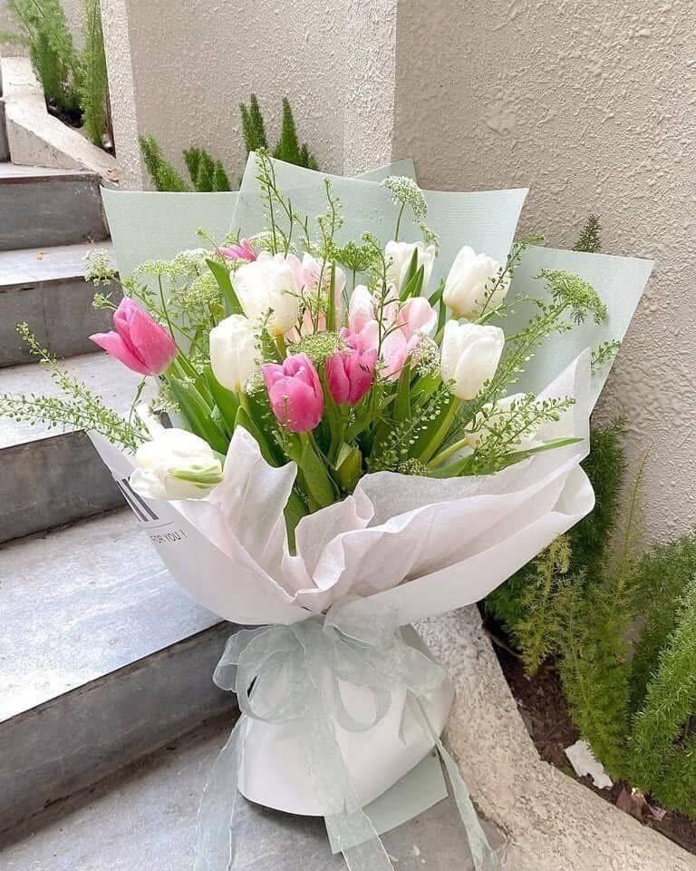 Bó Hoa Tulip Hồng Trắng Hoa Ren