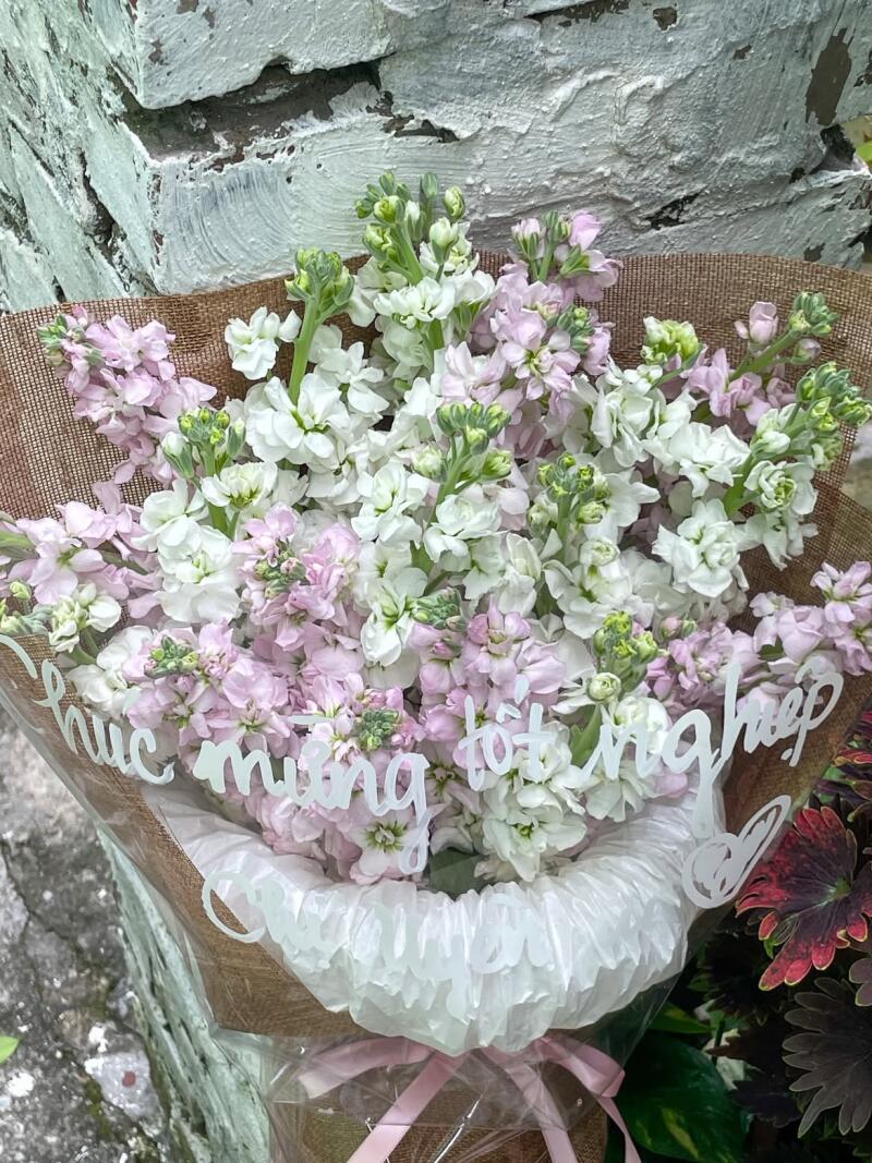 Bó Violet Hồng Trắng Chúc Mừng Tốt Nghiệp — ảnh 5