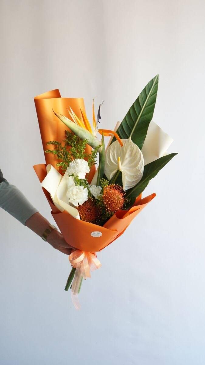 Bó Nhiệt Đới Thiên Điểu Khai Trương