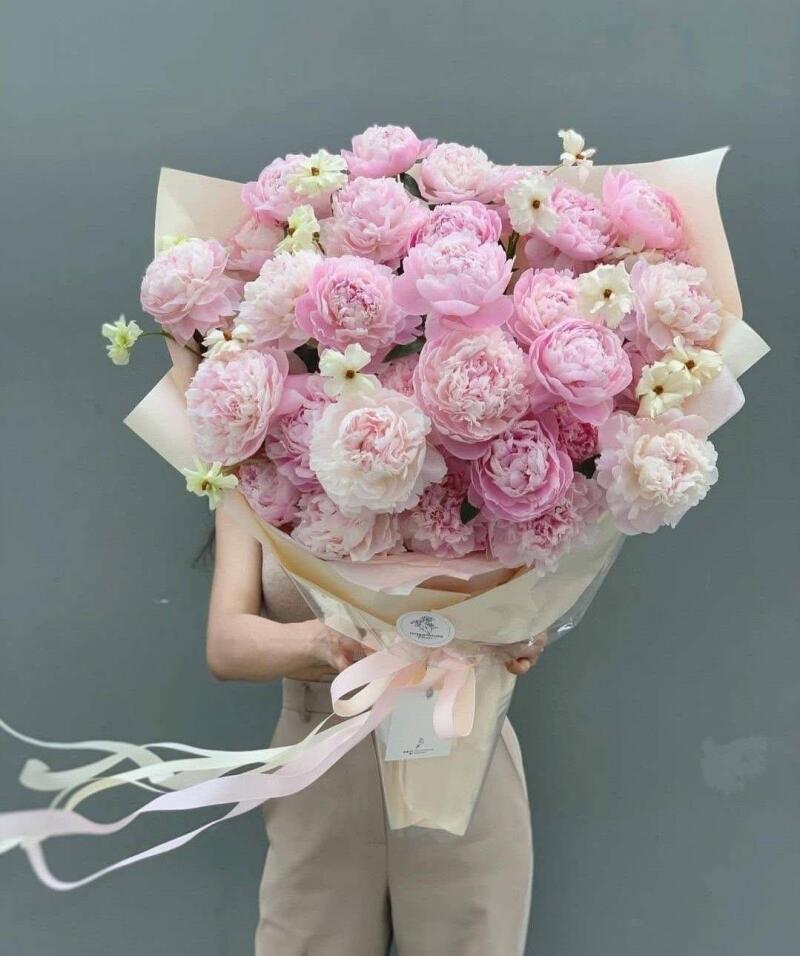 Bó Hoa Mẫu Đơn Hồng Mộng Mơ