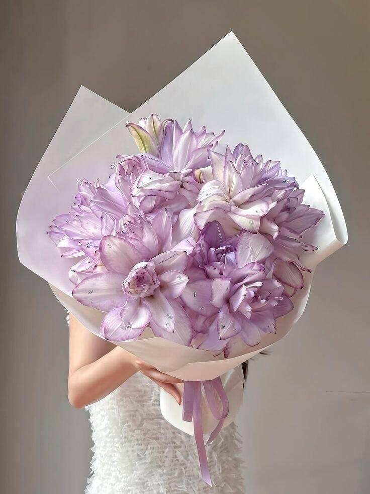 Bó Ly Kép Tím Mộng Ảo