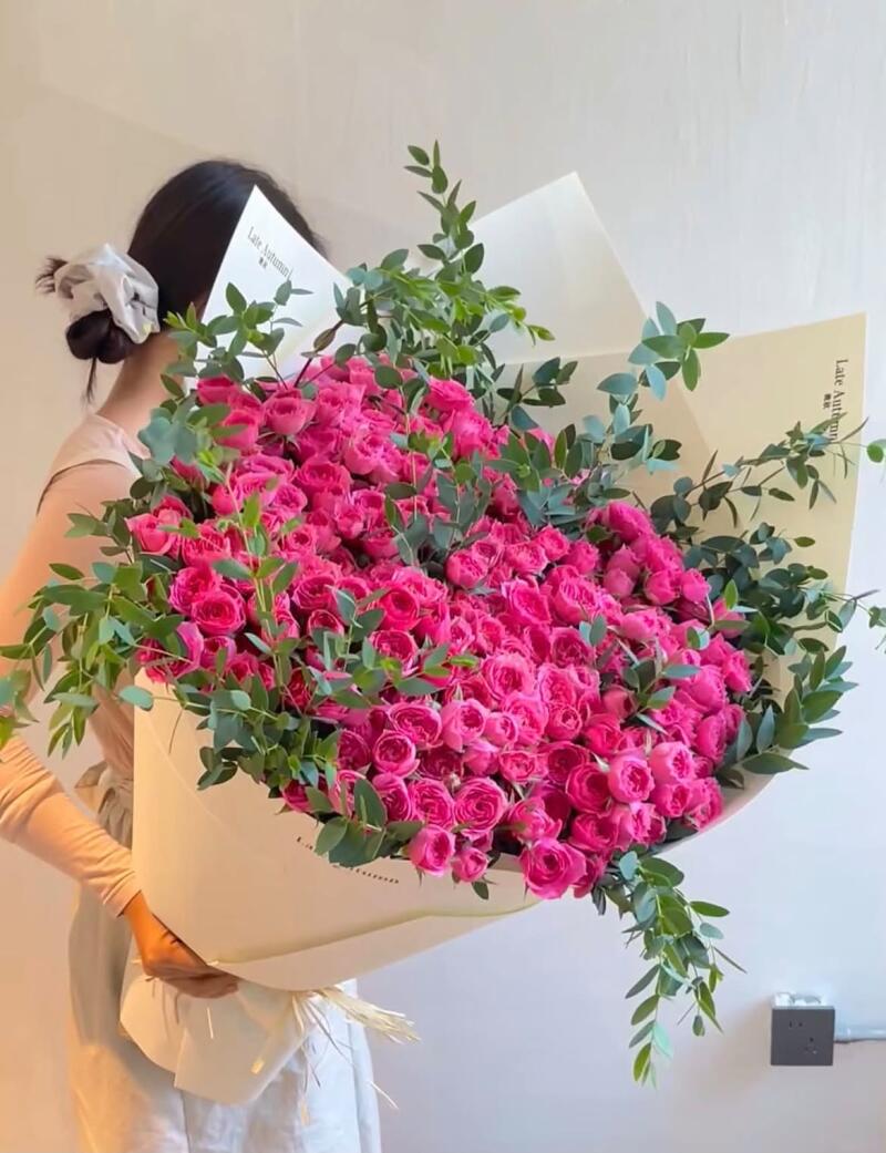 Bó Hồng Leo Hồng Sen Dáng Toả Nền Đen — ảnh 3