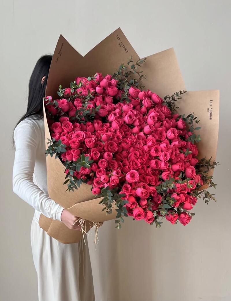 Bó Hồng Leo Hồng Sen Dáng Toả Nền Đen — ảnh 4