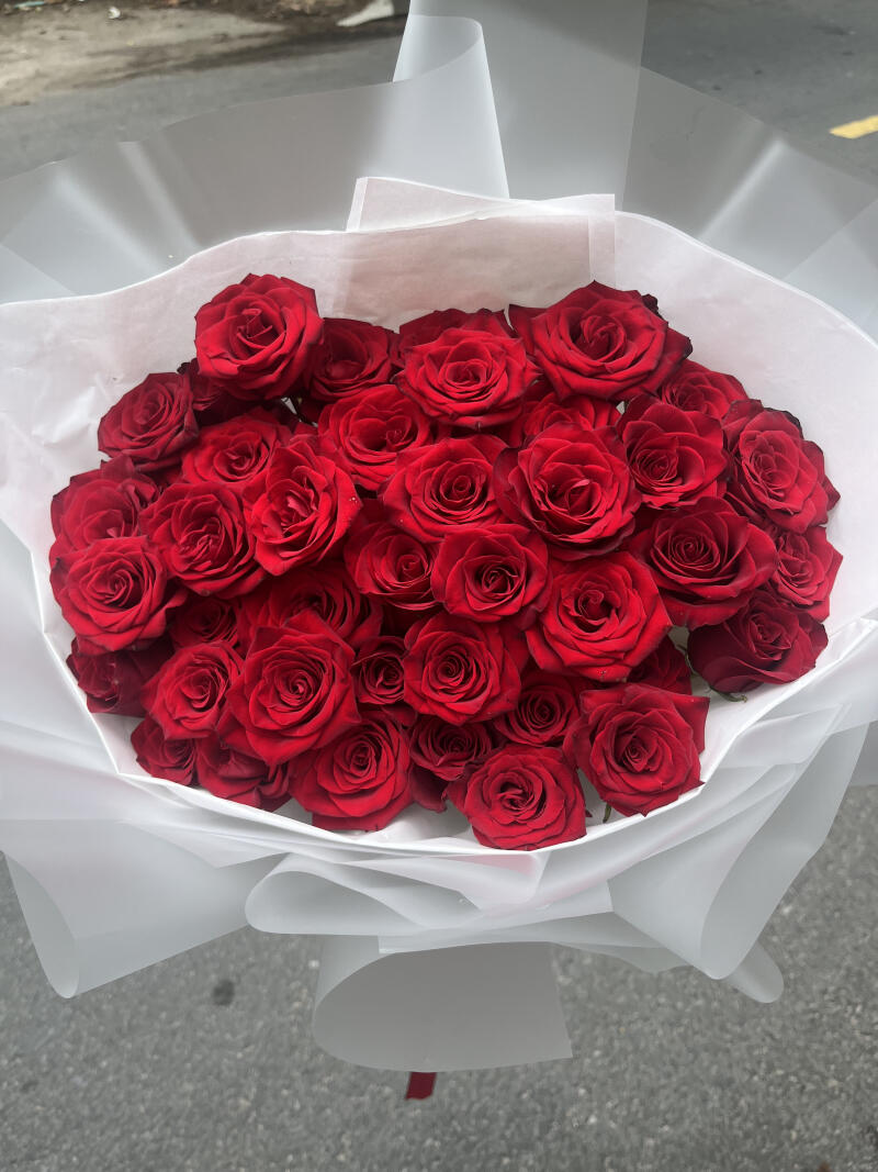Bó Hồng Đỏ Cỡ Lớn Gói Trắng — ảnh 3