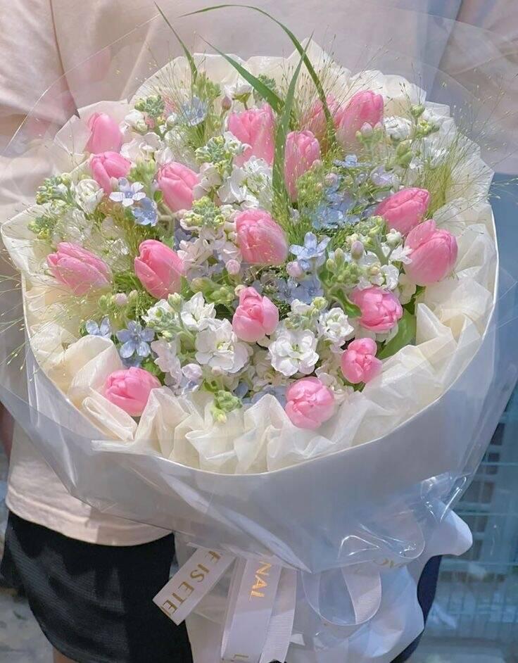 Bó Tulip Hồng Violet Mây Trắng
