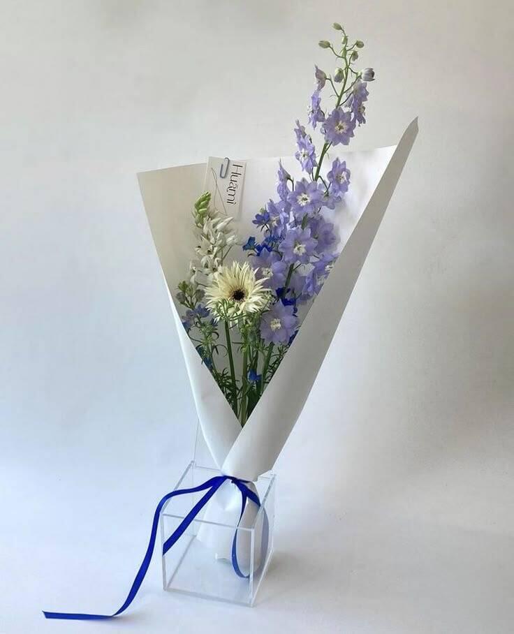 Bó Phi Yến Tím Huami