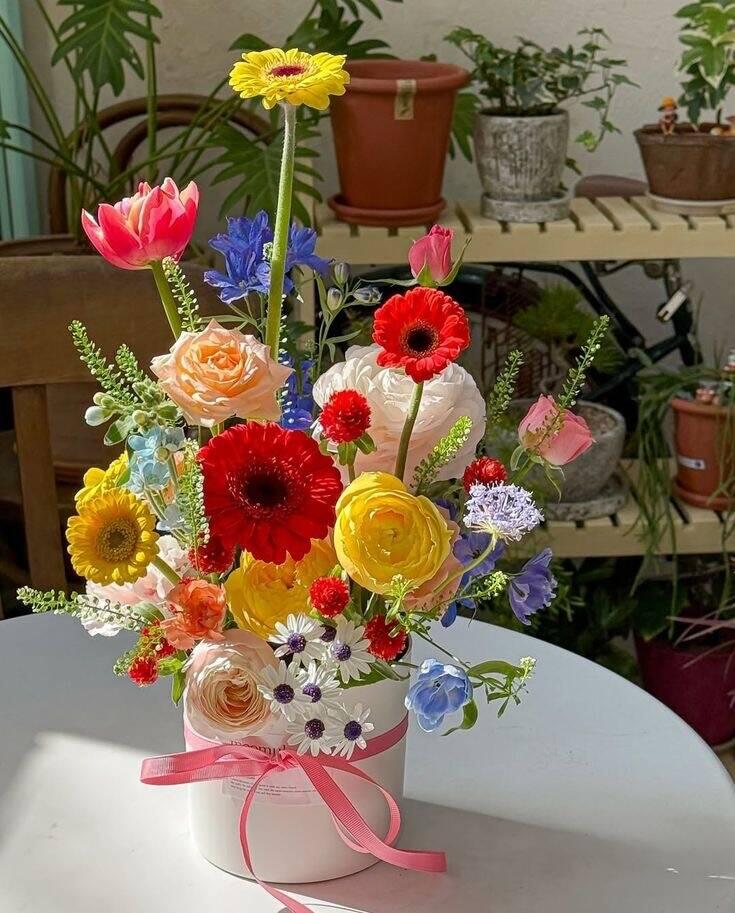 Chậu Hoa Sắc Màu Rực Rỡ