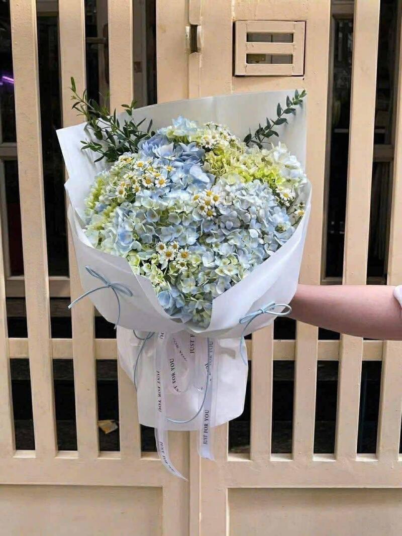 Bó Hoa Cẩm Tú Cầu Xanh Cúc Tana