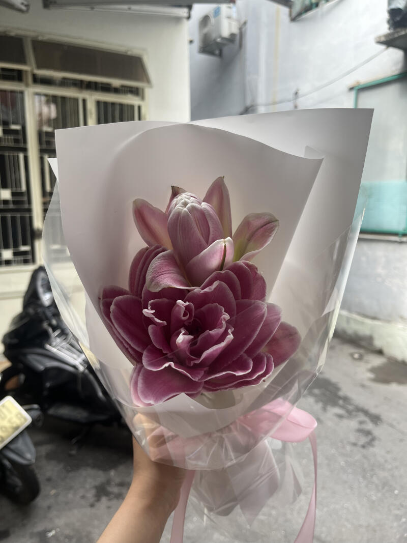 Bó Mini Ly Kép Tím Hồng — ảnh 2