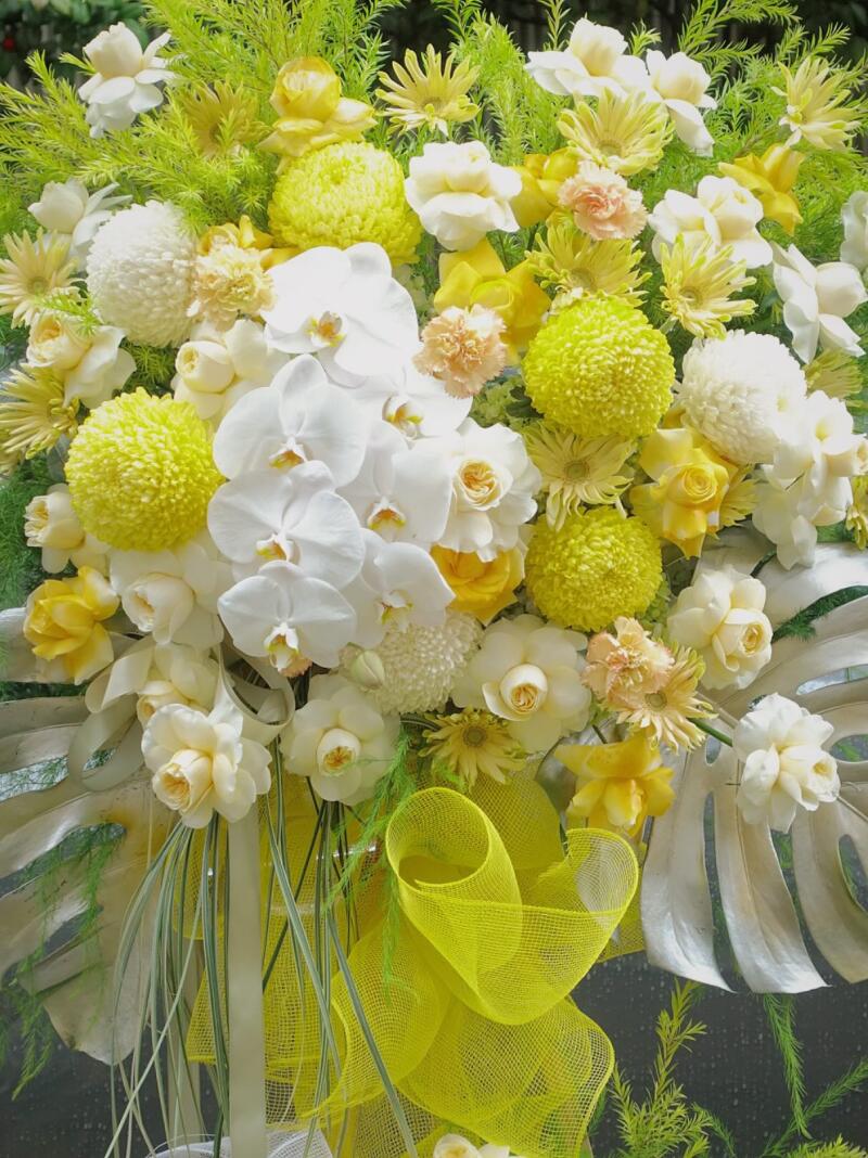 Kệ Hoa Chúc Mừng Vàng Chanh Lan Hồ Điệp — ảnh 3