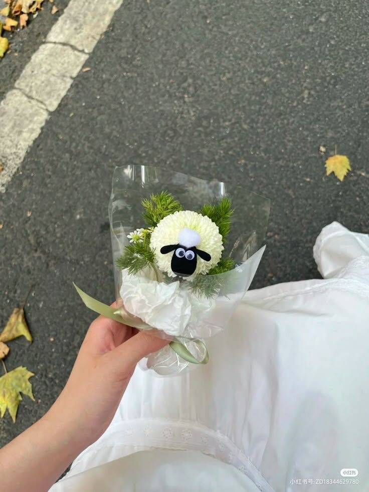 Bó Mini Cúc Cừu Đáng Yêu