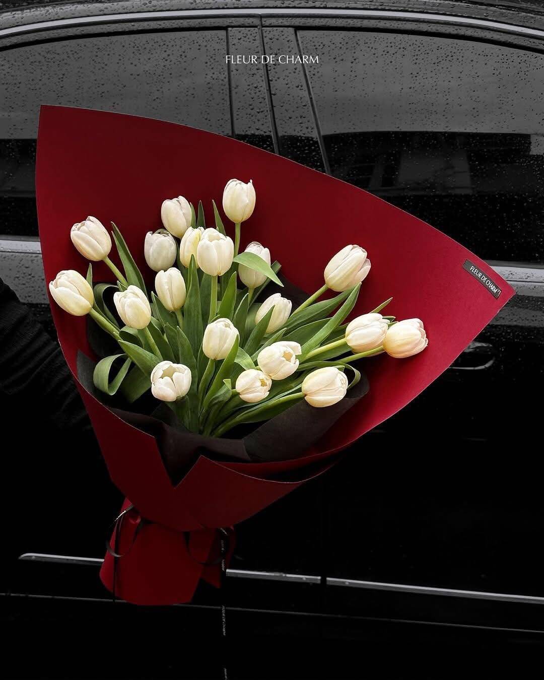 Bó Tulip Trắng Nền Đỏ Rượu Vang