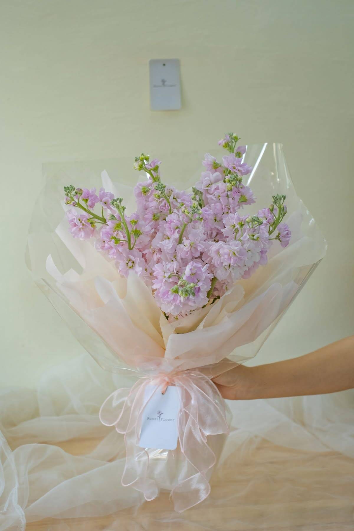Bó Violet Hồng Hương Dịu