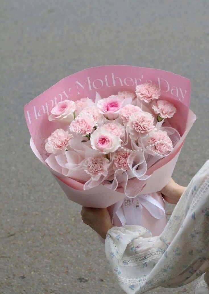 Bó Cẩm Chướng Hồng Tặng Mẹ