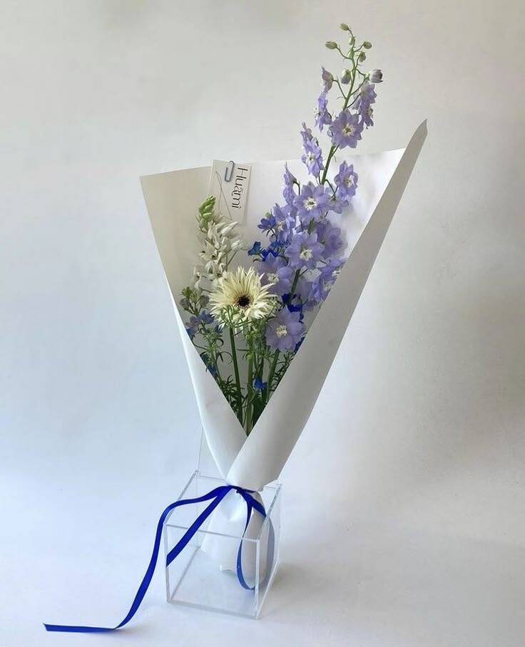 Bó Phi Yến Tím Huami