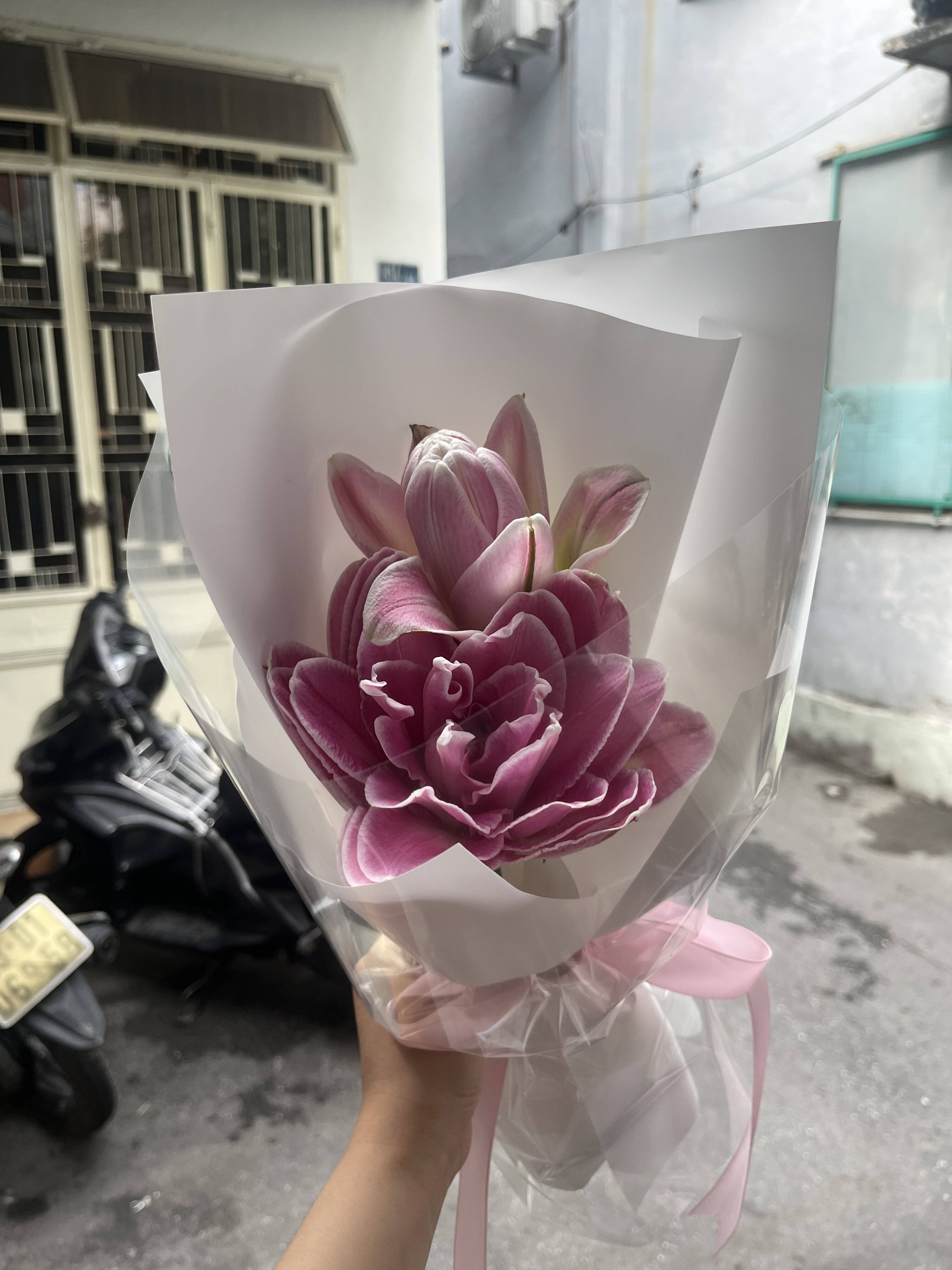 Bó Mini Ly Kép Tím Hồng