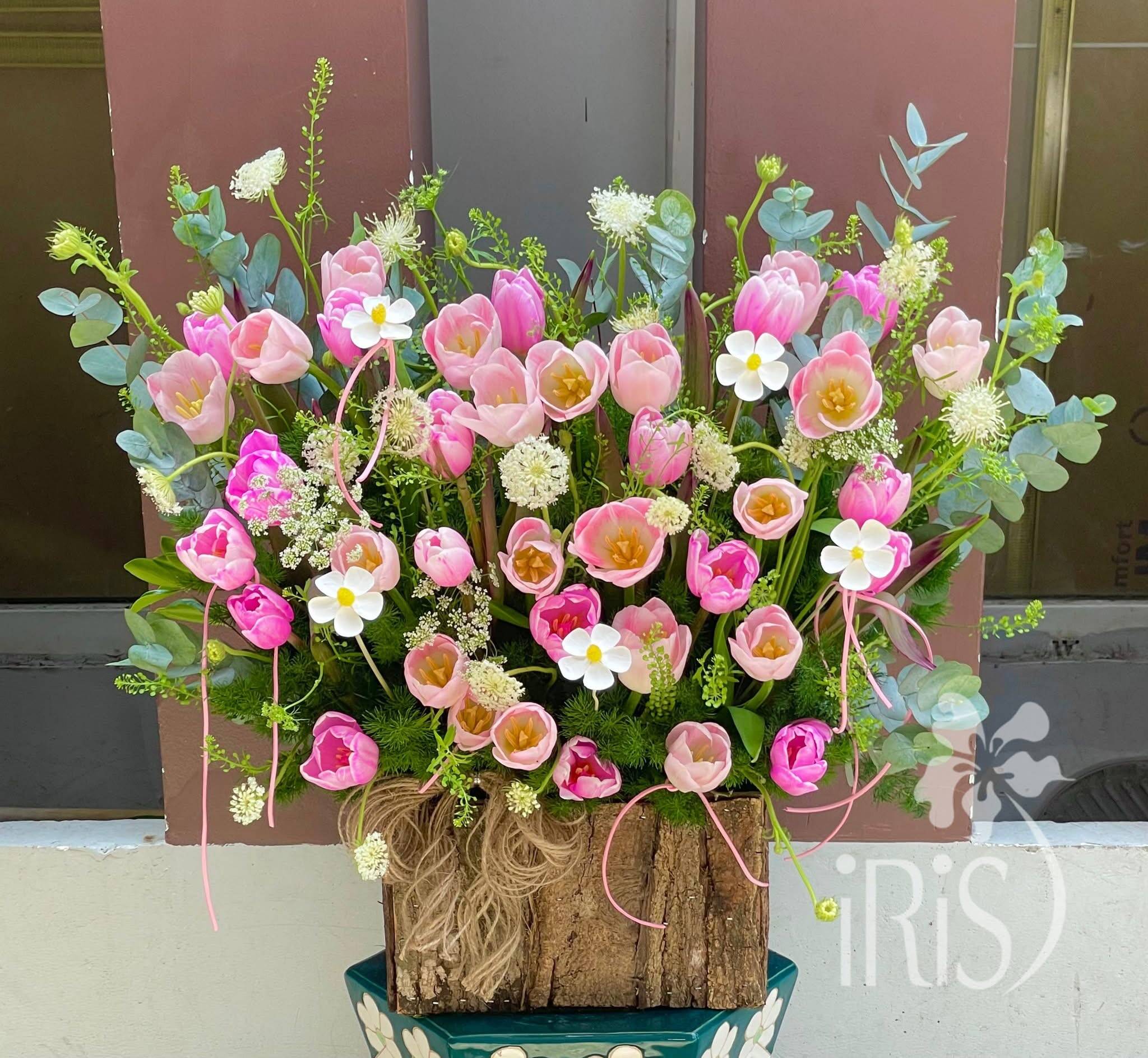 Giỏ Hoa Tulip Hồng Vườn Xuân