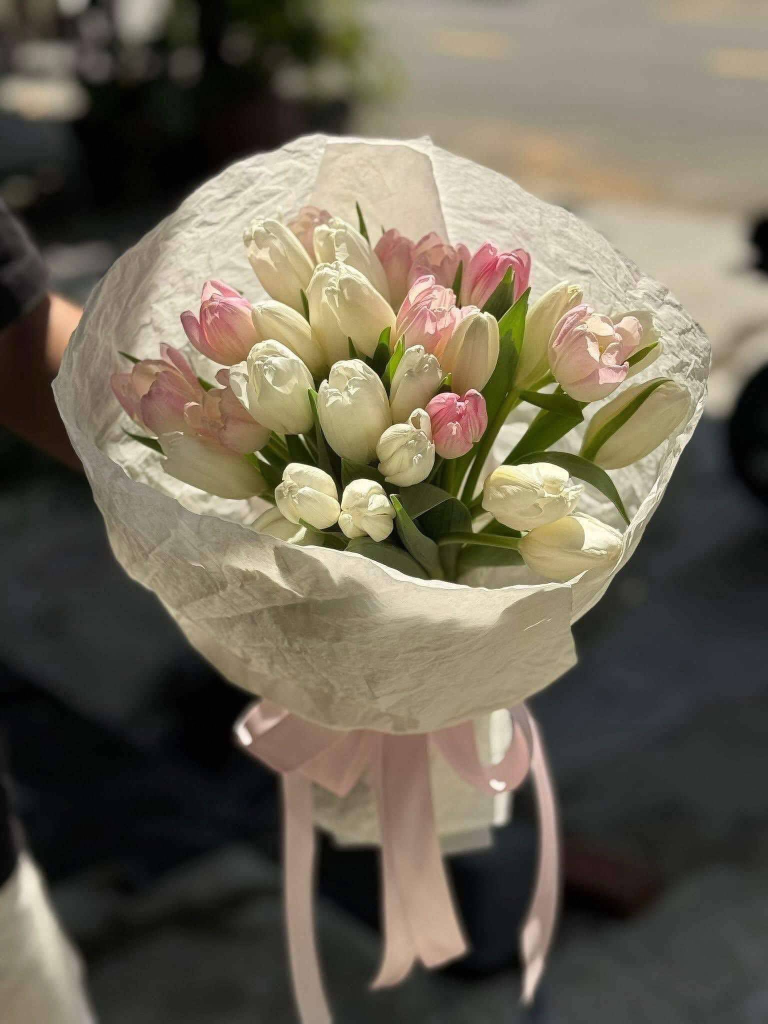 Bó Hoa Tulip Trắng Hồng Hà Lan