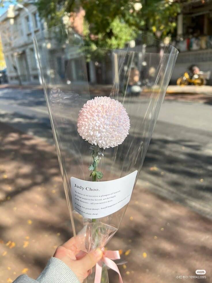 Bó Một Đóa Cúc Mẫu Đơn