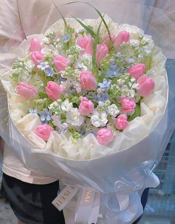 Bó Tulip Hồng Violet Mây Trắng