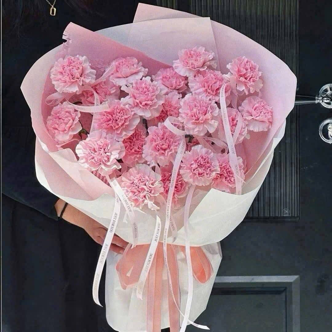 Bó Hoa Cẩm Chướng Hồng Pastel