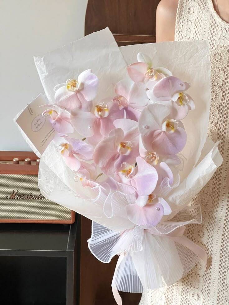 Bó Lan Hồ Điệp Hồng Mây