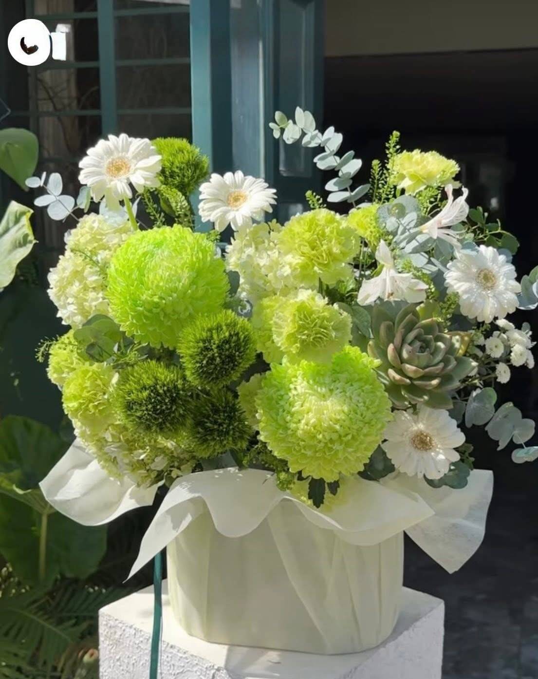 Hộp Hoa Xanh Lá Khai Trương