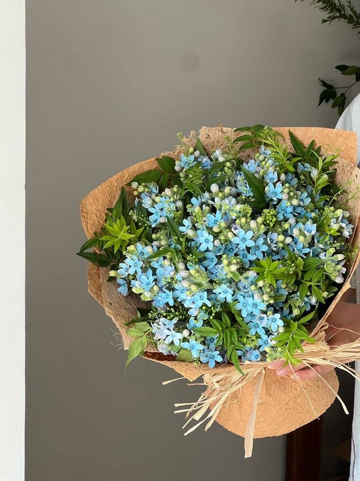 Bó Lưu Ly Xanh Mộc
