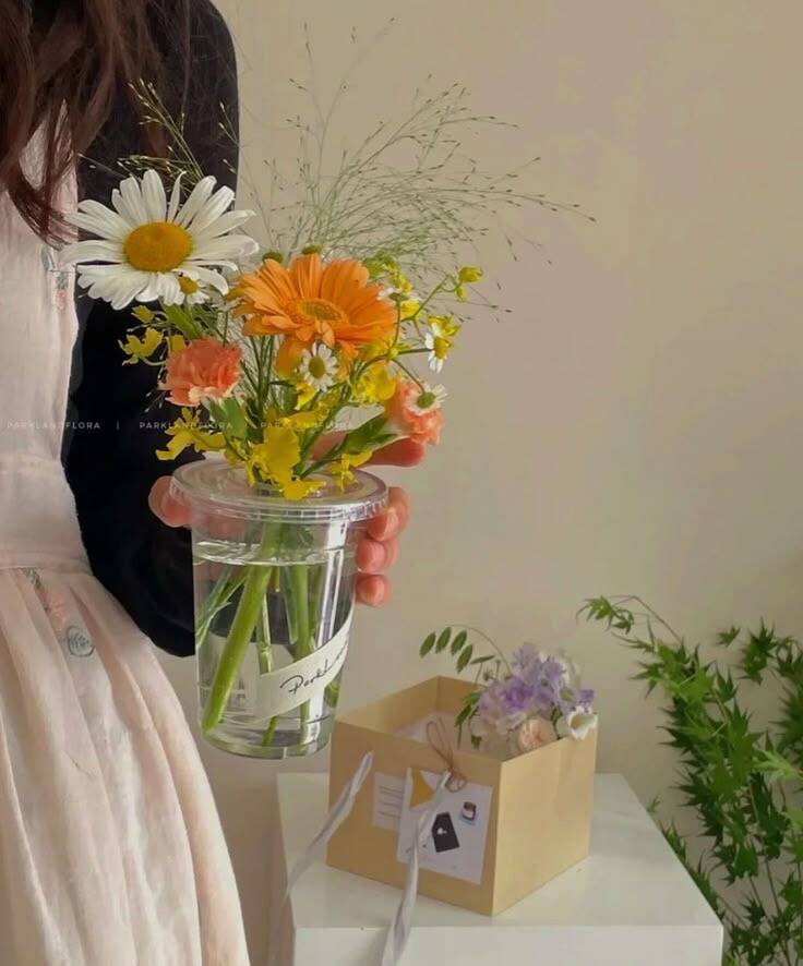 Ly Hoa Cam Nắng Hạ