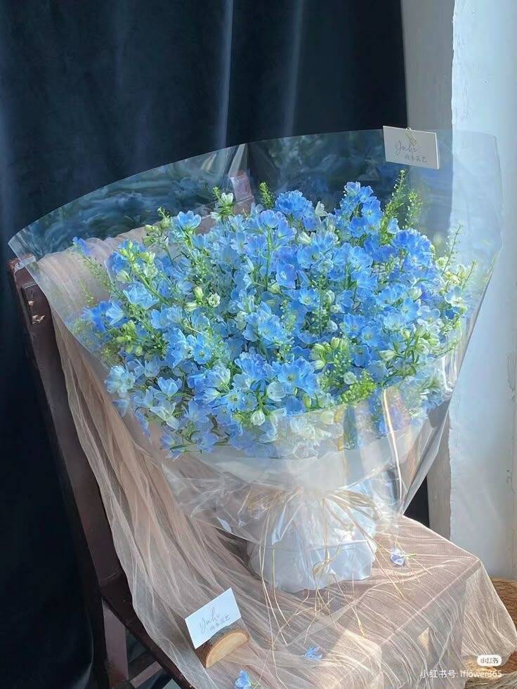Bó Phi Yến Xanh Trời Rộng